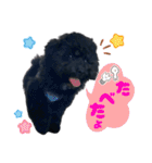 チョーやんちゃ犬うに君（個別スタンプ：12）