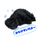 チョーやんちゃ犬うに君（個別スタンプ：14）