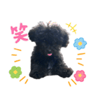 チョーやんちゃ犬うに君（個別スタンプ：16）