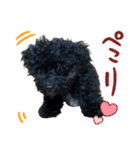 チョーやんちゃ犬うに君（個別スタンプ：18）