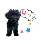 チョーやんちゃ犬うに君（個別スタンプ：19）