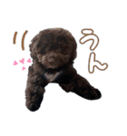 チョーやんちゃ犬うに君（個別スタンプ：20）