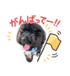 チョーやんちゃ犬うに君（個別スタンプ：21）