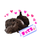 チョーやんちゃ犬うに君（個別スタンプ：26）