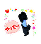 チョーやんちゃ犬うに君（個別スタンプ：32）