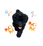 チョーやんちゃ犬うに君（個別スタンプ：34）