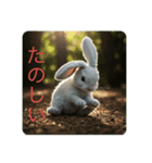 ウサギ好きスタンプですよ（個別スタンプ：6）
