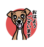 【レッド2】1年中使える♡パピーイタグレ（個別スタンプ：1）