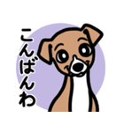 【レッド2】1年中使える♡パピーイタグレ（個別スタンプ：3）