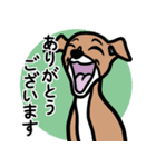【レッド2】1年中使える♡パピーイタグレ（個別スタンプ：5）