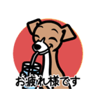 【レッド2】1年中使える♡パピーイタグレ（個別スタンプ：8）