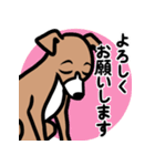 【レッド2】1年中使える♡パピーイタグレ（個別スタンプ：9）
