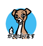 【レッド2】1年中使える♡パピーイタグレ（個別スタンプ：11）