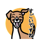 【レッド2】1年中使える♡パピーイタグレ（個別スタンプ：14）