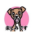 【レッド2】1年中使える♡パピーイタグレ（個別スタンプ：16）