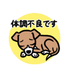 【レッド2】1年中使える♡パピーイタグレ（個別スタンプ：20）