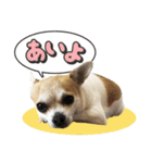 パン♡ペロ♡ポム♡（個別スタンプ：7）