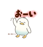 インコなんです⭐︎ひと言（個別スタンプ：12）