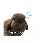 もなうさスタンプ！（個別スタンプ：14）