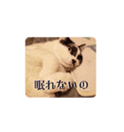 ちかまつが一家（個別スタンプ：8）