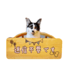 ちかまつが一家（個別スタンプ：12）