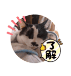 ちかまつが一家（個別スタンプ：14）