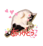 ちかまつが一家（個別スタンプ：18）