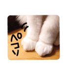 ちかまつが一家（個別スタンプ：20）