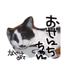 ちかまつが一家（個別スタンプ：28）