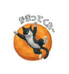 ハチワレ猫（ポリゴン）（個別スタンプ：1）