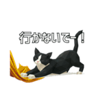 ハチワレ猫（ポリゴン）（個別スタンプ：10）