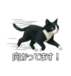 ハチワレ猫（ポリゴン）（個別スタンプ：16）