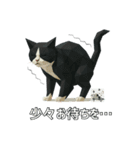 ハチワレ猫（ポリゴン）（個別スタンプ：18）