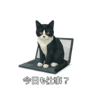 ハチワレ猫（ポリゴン）（個別スタンプ：21）