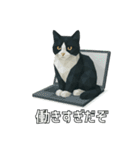 ハチワレ猫（ポリゴン）（個別スタンプ：22）