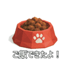 ハチワレ猫（ポリゴン）（個別スタンプ：24）