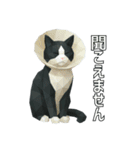 ハチワレ猫（ポリゴン）（個別スタンプ：31）