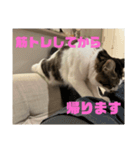 ちゃむちゃんスタンプ3（個別スタンプ：8）