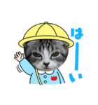 わが家のニャンTube☆さくらちゃん1（個別スタンプ：4）