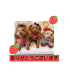 ni-na ①（個別スタンプ：5）