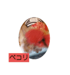 ni-na ①（個別スタンプ：10）