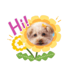 ni-na ①（個別スタンプ：11）