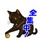 錆と黒の日常（個別スタンプ：5）