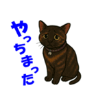 錆と黒の日常（個別スタンプ：7）