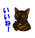 錆と黒の日常（個別スタンプ：12）