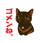 錆と黒の日常（個別スタンプ：13）