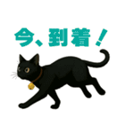 錆と黒の日常（個別スタンプ：25）