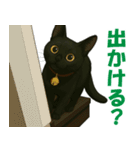 錆と黒の日常（個別スタンプ：29）