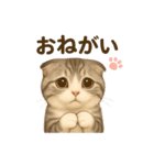 コロニャンコ（個別スタンプ：1）