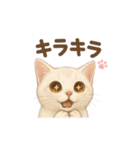 コロニャンコ（個別スタンプ：2）